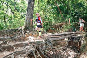 BIB: 
                            <button type="button" onclick="openModal(27721644)" class="btn btn-primary btn-sm float-right btn-popup" data-toggle="modal" data-target=".modal-high-quality">
                        <i class="fas fa-shopping-cart"></i> Add to Cart
                    </button>
                                            <button type="button" onclick="isThisMe(27721644, true)" class="btn btn-success btn-sm float-right btn-popup btn-isme hidden" data-toggle="tooltip" data-placement="bottom" title="นี่คือรูปของคุณใช่ไหม คลิกที่นี่เพื่อเอาเข้าอัลบั้ม">
                        <i class="fas fa-plus"></i> Add to album
                    </button>
                    <button type="button" onclick="isThisMe(27721644, false)" class="btn btn-warning btn-sm float-right btn-popup btn-isnotme hidden">
                        <i class="fas fa-ban"></i> Remove from album
                    </button>